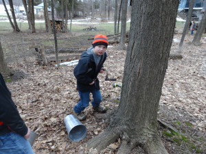 Ben tapping tree