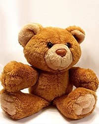 TeddyBear3