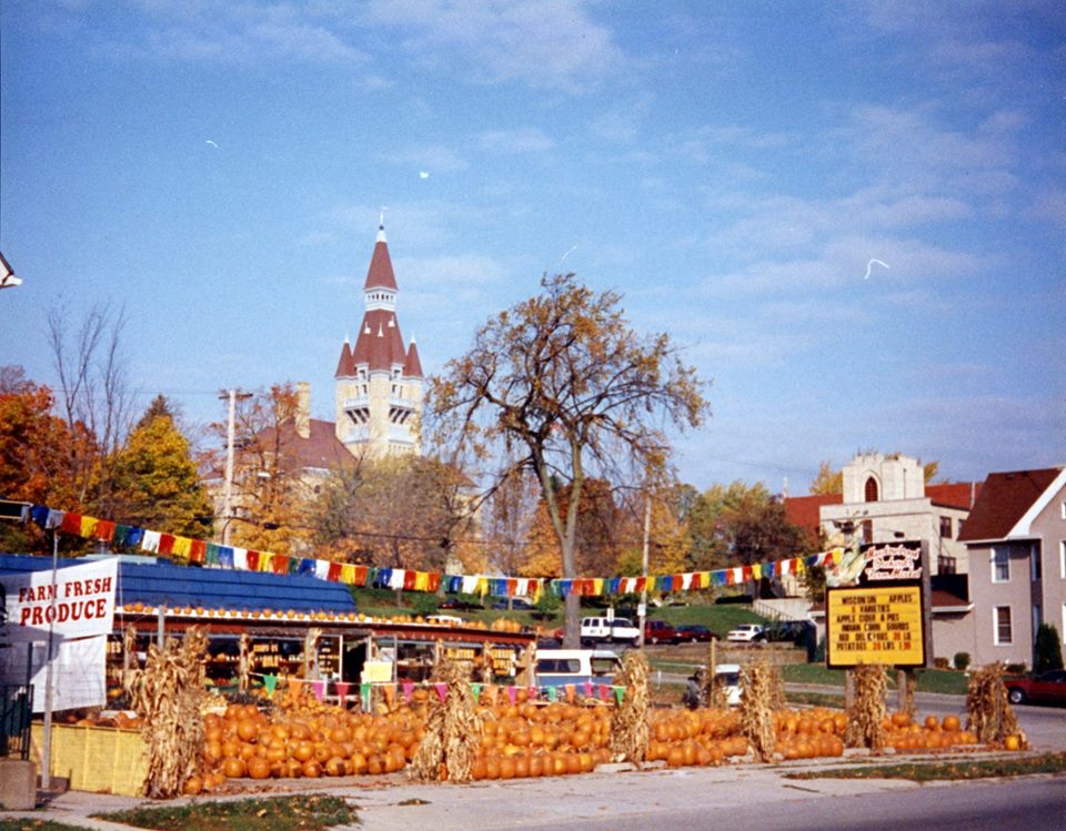 pumpkins at Meadowbrook