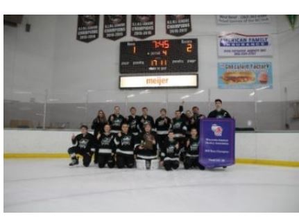 Washington Co. Youth Hockey Association Ice Bantam B takes State Title | By Kerri Ast