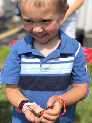 Butterfly release