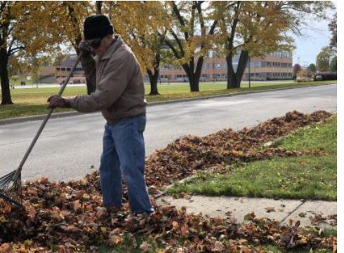 Al Steffes raking leaves on S. Sixth Avenue in West Bend