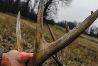 Man holding deer shed antlers for article about October lull.