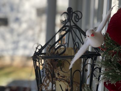 Home dove ornament
