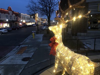 Deer downtown