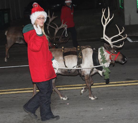 Reindeer in West Bend Christmas Parade