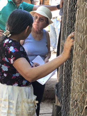 Chicken project in El Salvador