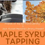 Maple Syrup tapping