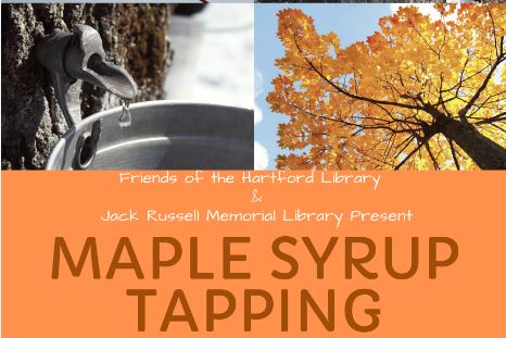 Maple Syrup tapping