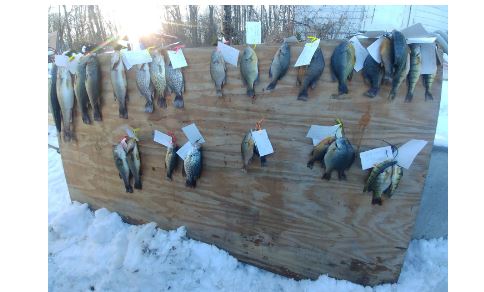 A successful day of fishing at the 20th annual Nabob Prairie Rider Fisheree! Thank you fishermen/women.