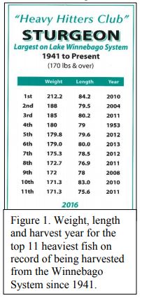 Sturgeon stats