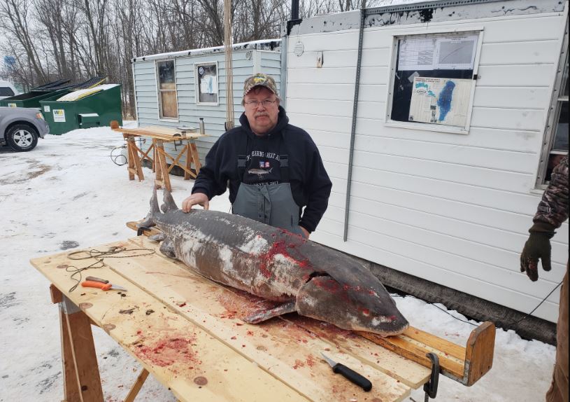 Lake Winnebago sturgeon spearing