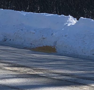 Corn bait pile on Silverbrook Drive