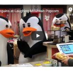 Penguins at Laughing Mountain Popcorn