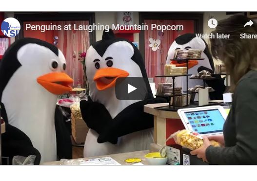 Penguins at Laughing Mountain Popcorn