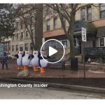 Penguins in downtown West Bend