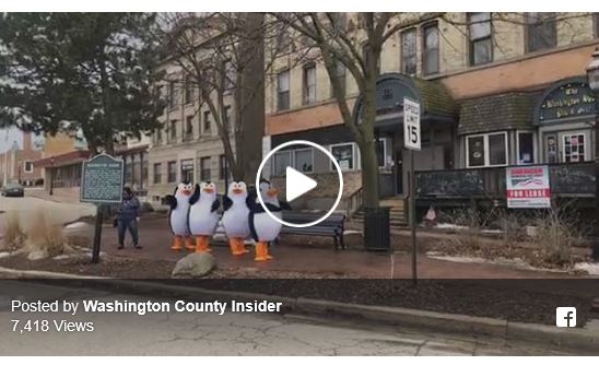 Penguins in downtown West Bend