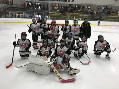 Little Lynx girls hockey 2019