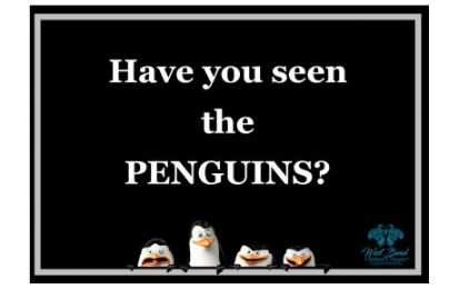 Have you seen the penguins, West Bend Children's Theatre