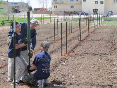 Community Church Garden