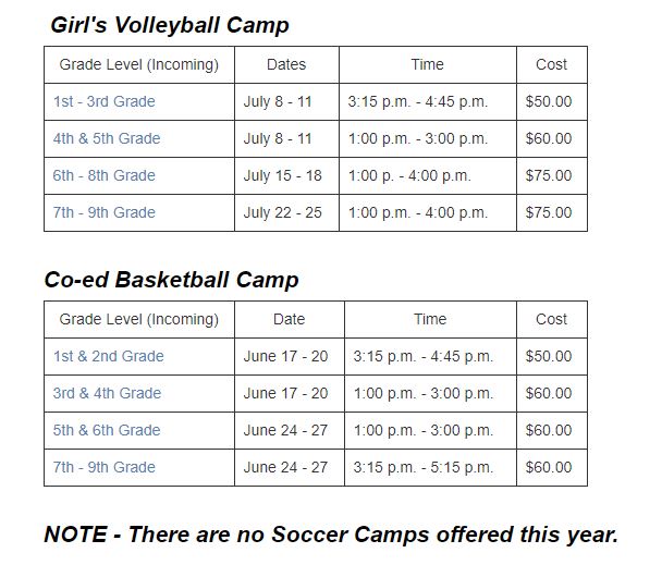 summer volleyball camp