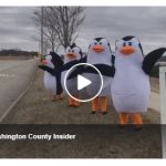 Penguins for West Bend Children's Theatre