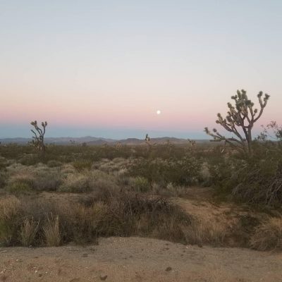 Tabetha Wolfe in the desert