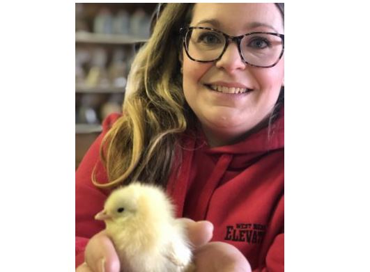 Chicks at West Bend Elevator