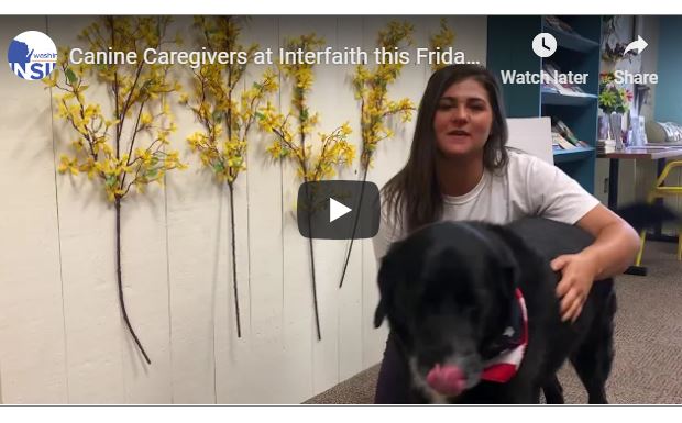 canine caregivers