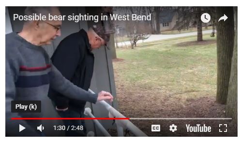 Possible bear sighting in West Bend