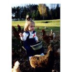 Maddie and Chickens
