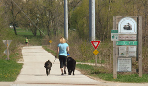Dogs on leash in West Bend