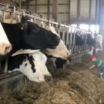 Breakfast on the Farm