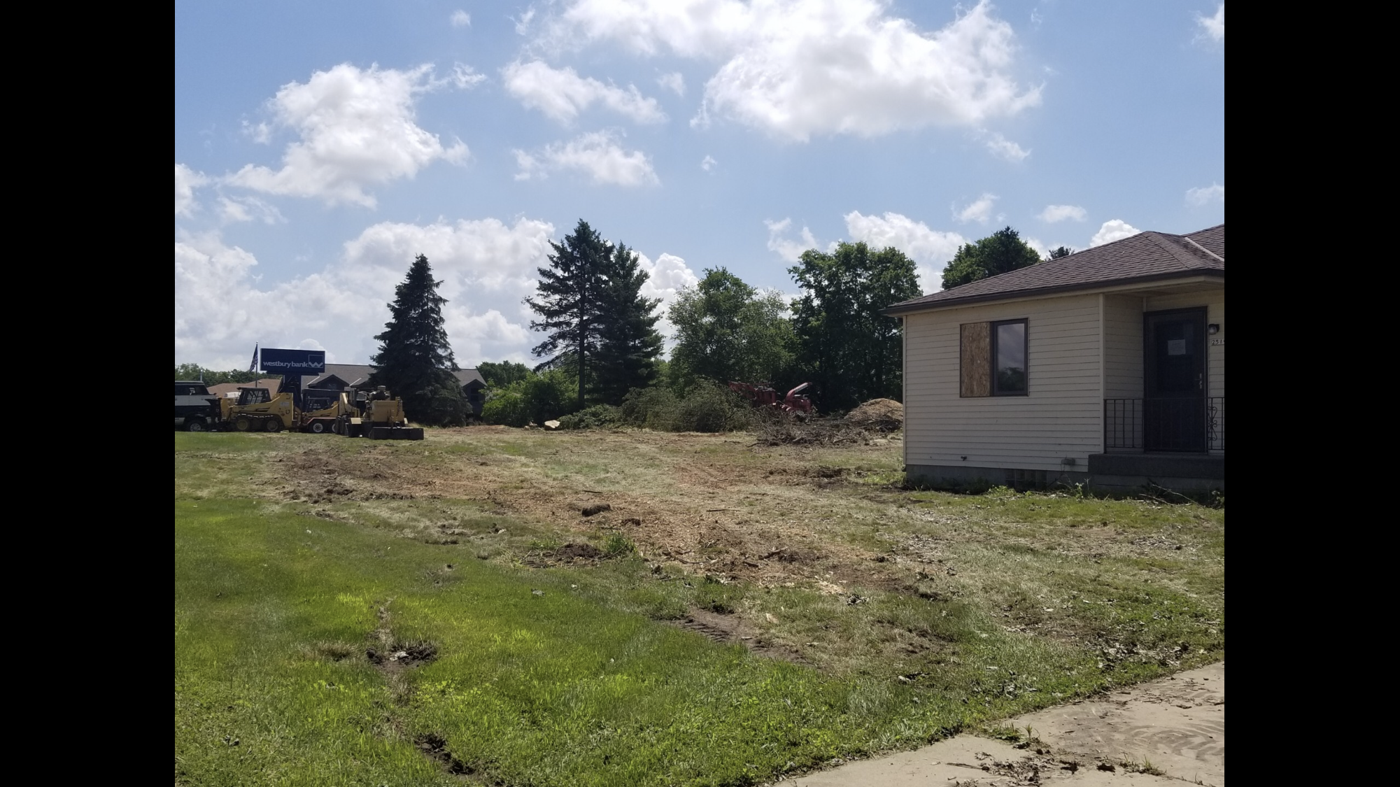 40 trees coming down off W. Washington Street