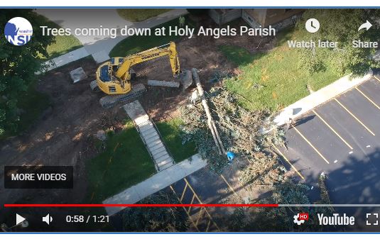 Trees coming down at Holy Angels Parish