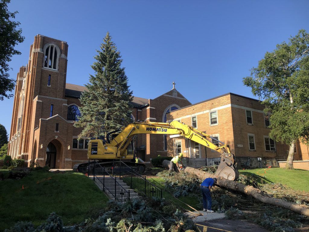 Trees leveled outside Holy Angels Rectory