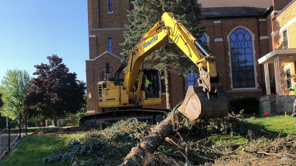 Trees leveled outside Holy Angels Rectory