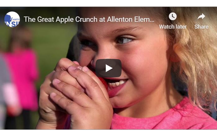 Great Apple Crunch