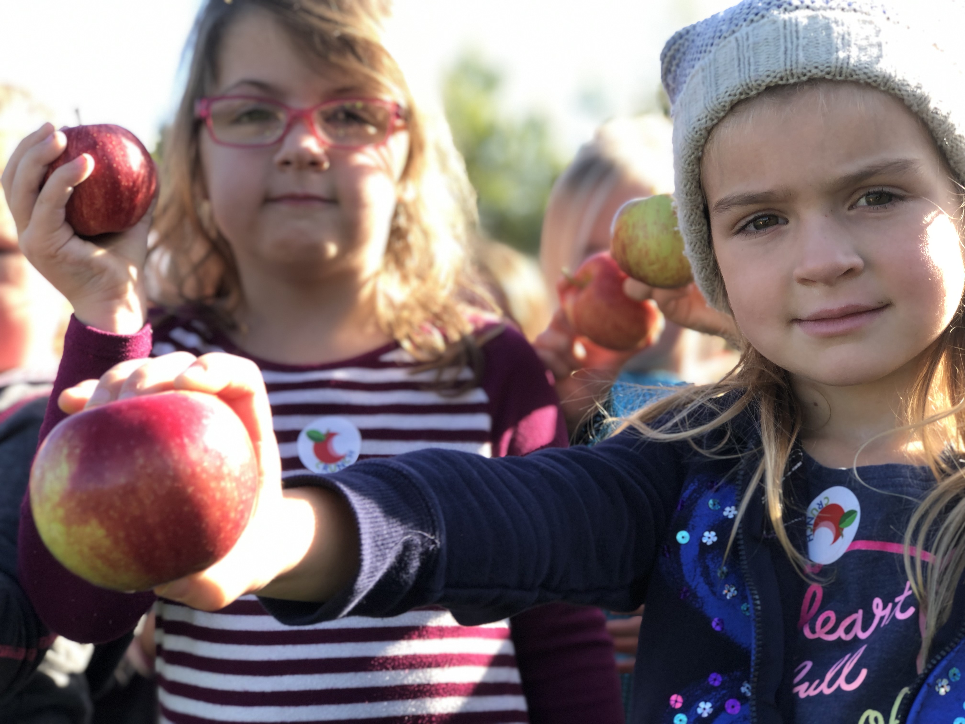 Great Apple Crunch