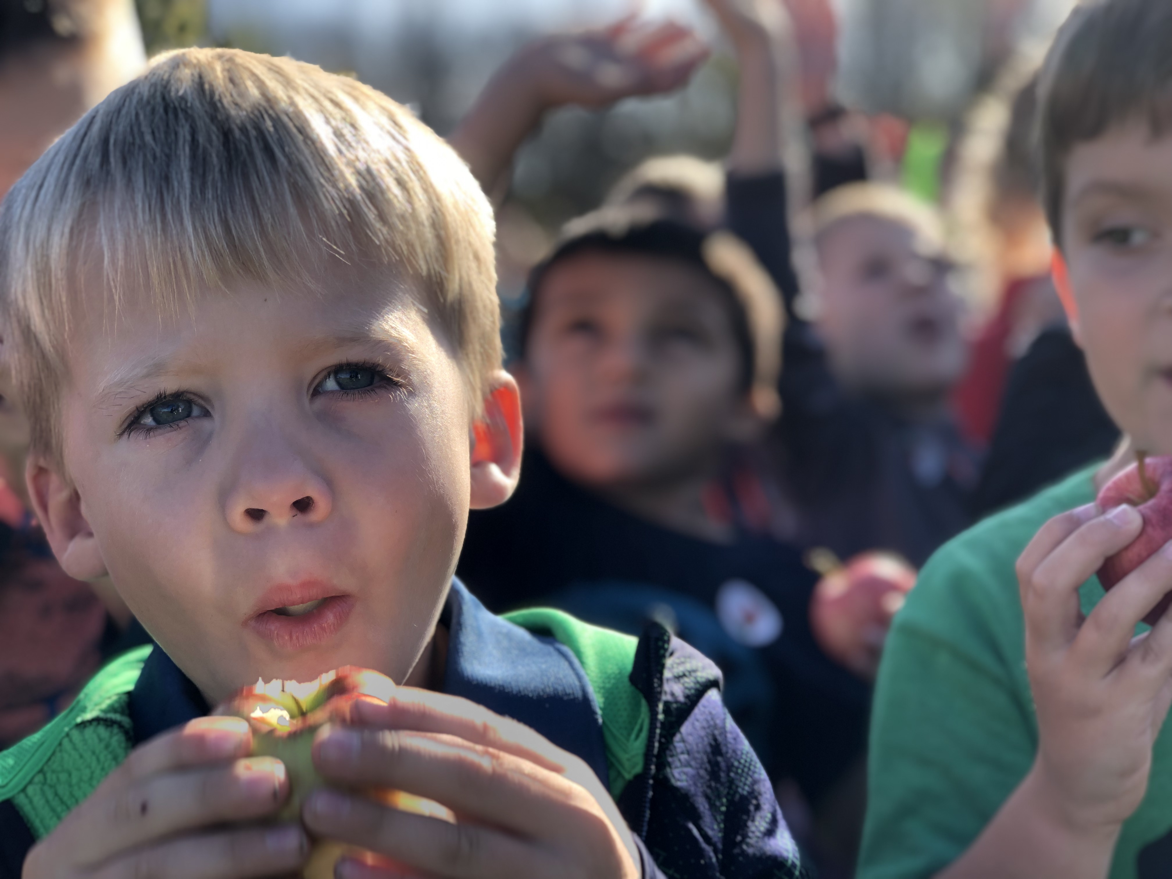 Great Apple Crunch