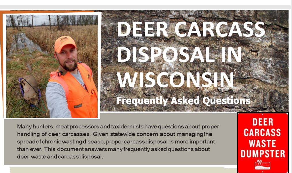 Deer carcass disposal