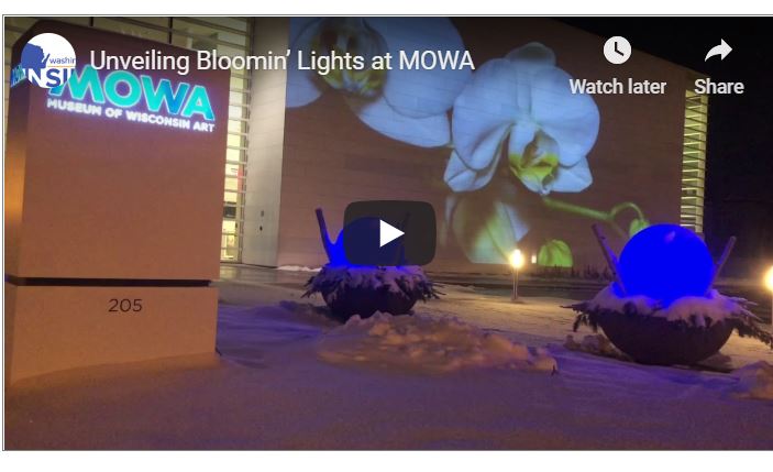 MOWA Bloomin' Lights
