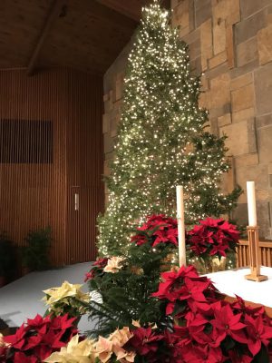 Christmas tree at Our Savior's 