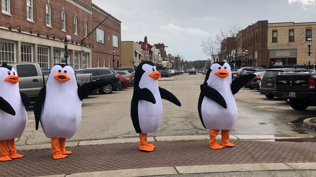 Penguins...a la Abby Road