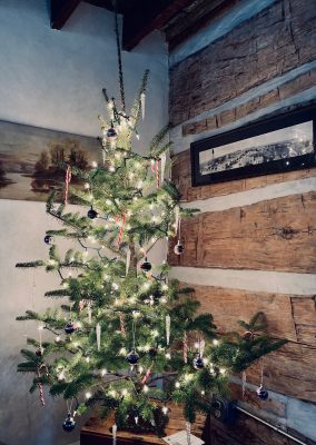 Christmas tree at Craig home