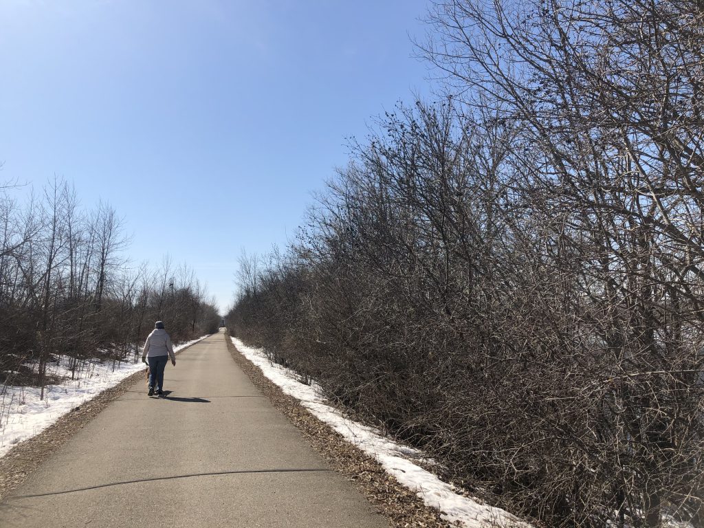 Dog on Eisenbahn State Trail