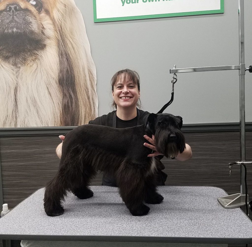 Kara Kaiser pet grooming