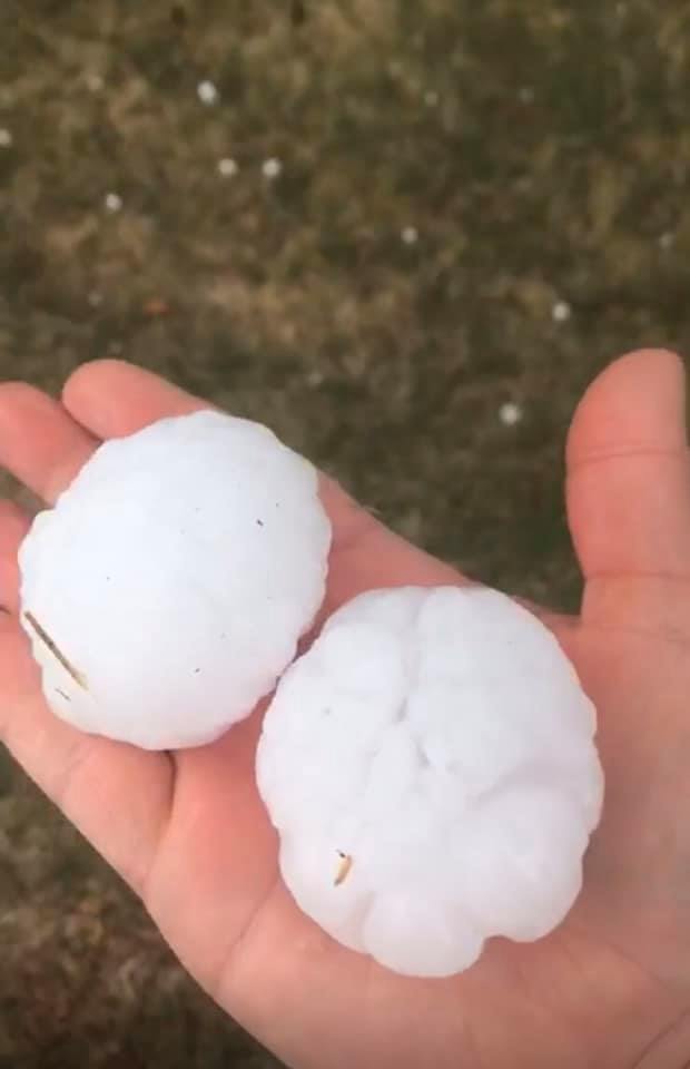 Michelle Becker hail in Cedarburg