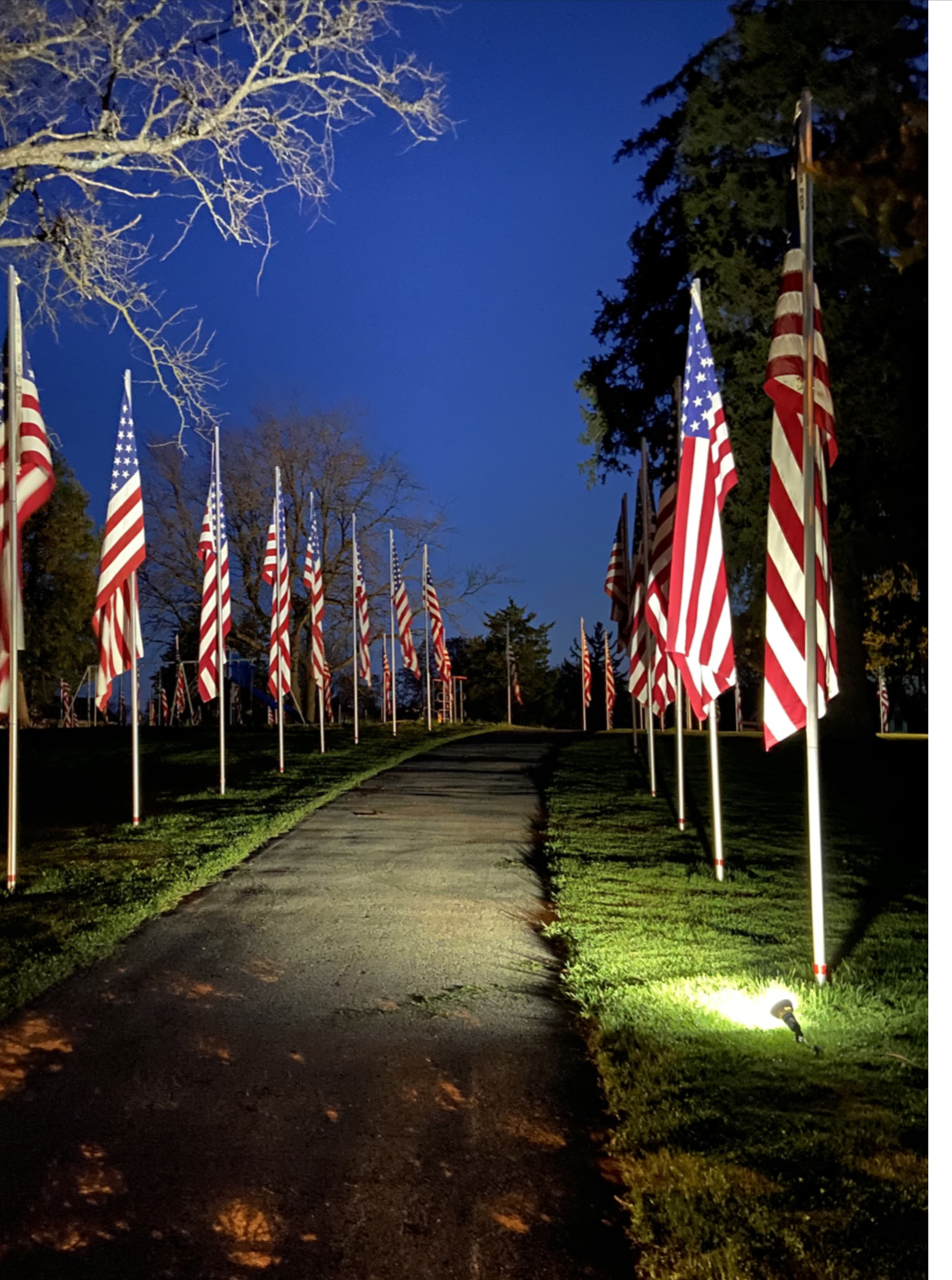 Hartford flags, park