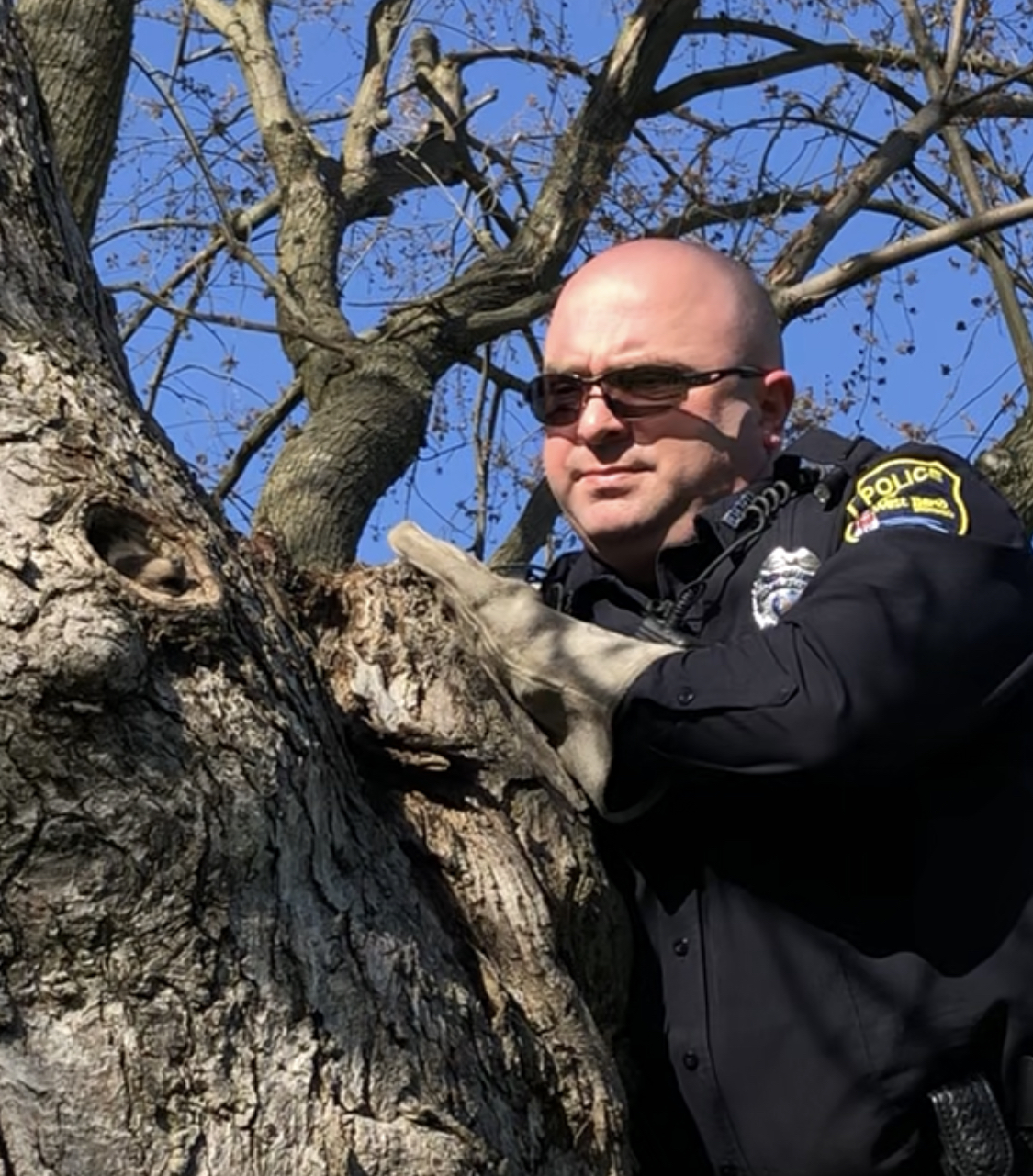 West Bend Police rescue raccoon